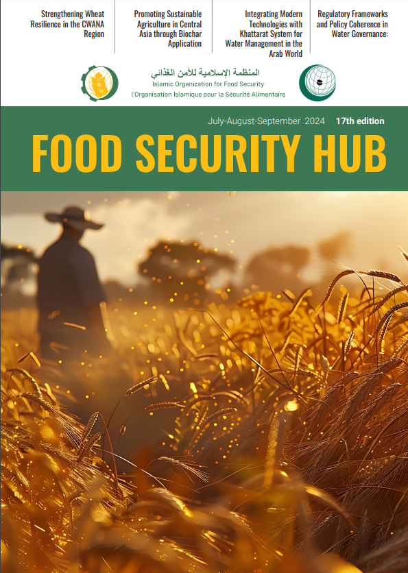 Food Security Hub №17