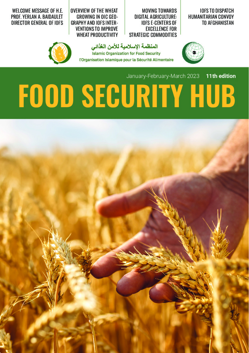 'FOOD SECURITY HUB' №11